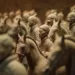 Statues anciennes de soldats et chevaux en terre cuite, alignées en ordre de bataille, symbolisant les rites funéraires des dirigeants mondiaux à travers l'histoire, spécifiquement ceux de l'empereur Qin Shi Huang.