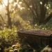 Un panier en osier repose dans une forêt baignée de lumière, illustrant les impacts environnementaux réduits des rites funéraires écologiques.