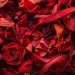 Une composition élaborée de roses rouges vives et de divers articles rouges tels que des rubans, des fermetures éclair et des morceaux de tissu, certains portant des inscriptions, arrangés en un montage dense qui suggère une signification profonde dans le contexte des rites funéraires, où le rouge peut symboliser à la fois l'amour éternel et le chagrin profond.