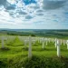 Rangées ordonnées de croix blanches dans un cimetière de guerre, surplombant des champs paisibles sous un ciel bleu.
