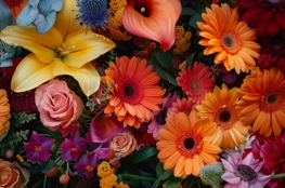 Assortiment éclectique de fleurs hybrides et exotiques, reflétant les Innovations Florales dans les Funérailles, avec des couleurs vives et des formes variées évoquant la célébration personnalisée de la vie